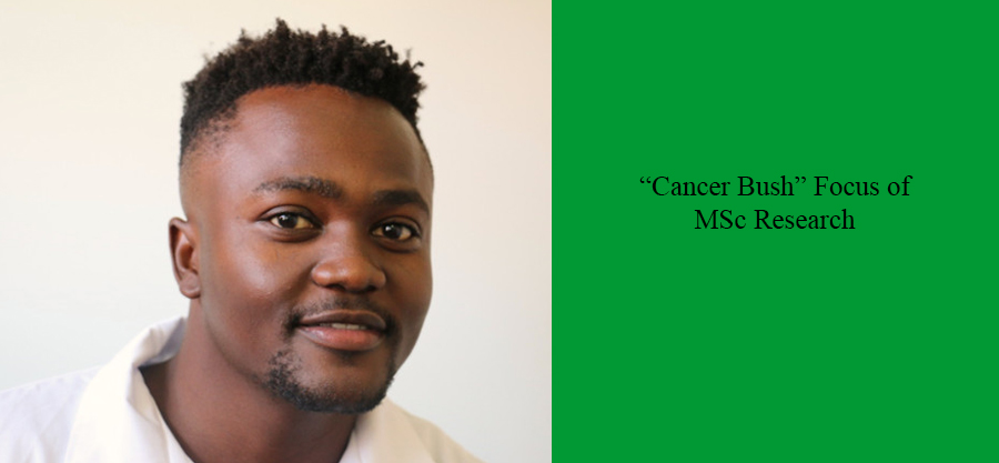 Cancer-Bush-Focus-of-MSc-Research